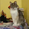 Отзыв от Анастасия Фомичева